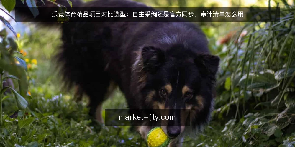 乐竞体育精品项目对比选型:自主采编还是官方同步,审计清单怎么用 — 先做审计:为什么现在要对比两种来源 配图